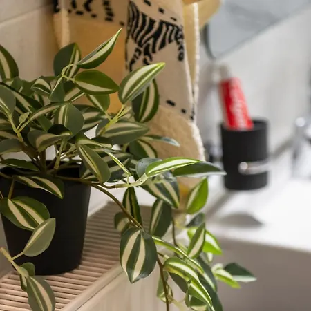 Mk Lux Appartamento *